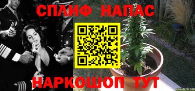 ГАЛЛЮЦИНОГЕННЫЕ ГРИБЫ Ставрополь