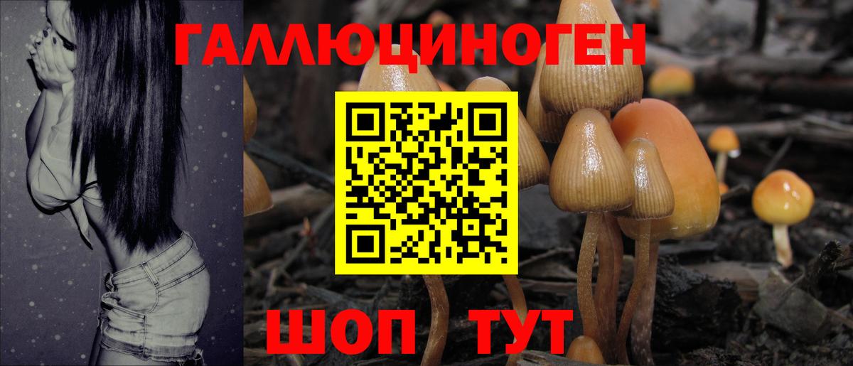 Псилоцибиновые грибы мухоморы  где найти наркотики  Нижнеудинск  Вход с VPN 