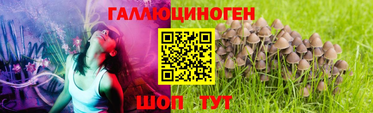 Галлюциногенные грибы ЛСД Нижнеудинск